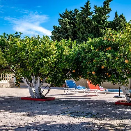 Guzman - Ismael * Calpe